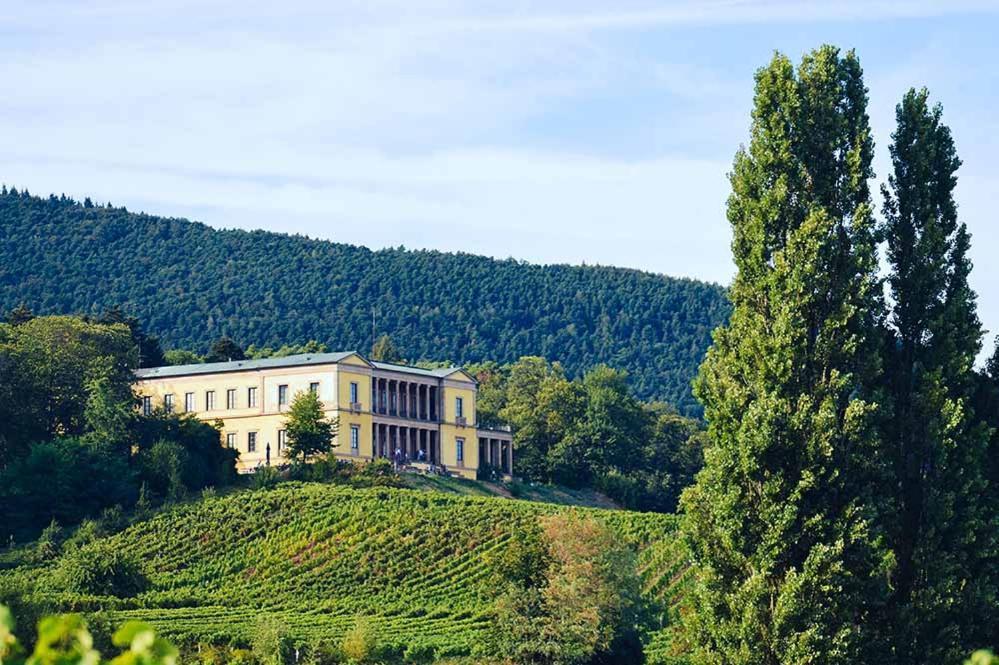 Pfalz-Dorfhaus Burrweiler Exteriör bild